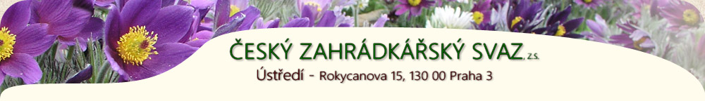 hlavi�ka