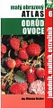 obr