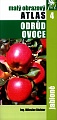 obr