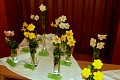 Obr: 5768.jpg