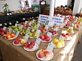 Obr: 3028.jpg