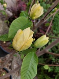 Obr: 5037.jpg