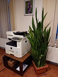 Obr: 5464.jpg