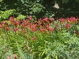 Obr: 5779.jpg