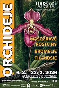 Obr: 2659