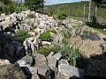 Obr: 11168.jpg