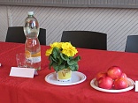Obr: 44075.jpg