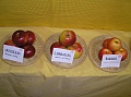 Obr: 1208.jpg