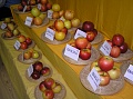 Obr: 1249.jpg
