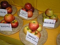Obr: 1258.jpg