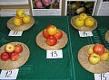 Obr: 14744.jpg