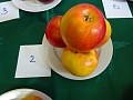 Obr: 24225.jpg