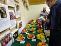Obr: 24257.jpg