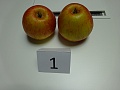 Obr: 25714.jpg