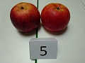 Obr: 25718.jpg
