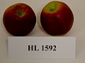 Obr: 29253.jpg