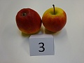 Obr: 30419.jpg