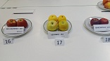 Obr: 42337.jpg