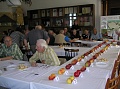 Obr: 6011.jpg