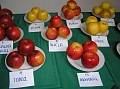 Obr: 9472.jpg