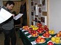 Obr: 9480.jpg
