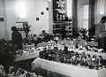 Obr: 2088.jpg