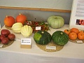 Obr: 21386.jpg