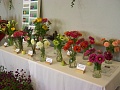 Obr: 21387.jpg