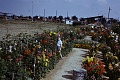 Obr: 24961.jpg