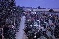 Obr: 24963.jpg