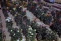 Obr: 24964.jpg