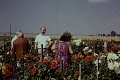 Obr: 24967.jpg