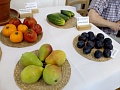 Obr: 34025.jpg