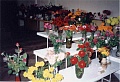 Obr: 3513.jpg
