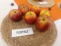 Obr: 37251.jpg