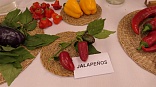 Obr: 43726.jpg