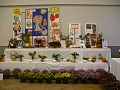 Obr: 4789.jpg