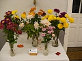 Obr: 4790.jpg
