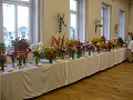 Obr: 4875.jpg