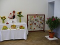 Obr: 5568.jpg