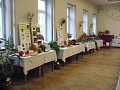 Obr: 6886.jpg