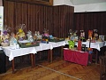 Obr: 9679.jpg