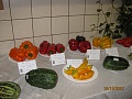 Obr: 1049.jpg
