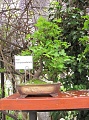 Obr: 6197.jpg