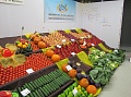 Obr: 7593.jpg