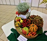 Obr: 49846.jpg